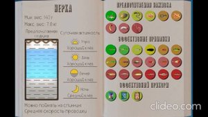 РЕАЛЬНАЯ РЫБАЛКА 2 | НЕРКА