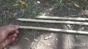 Как сделать ловушку на лесную дичь фазаны,куропатки,рябчик.