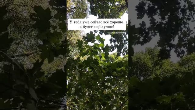 #жизньпрекрасна #ловимомент #счастьевмелочах