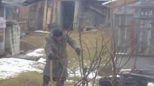 Прогулка Матушки .Нина Николаевна Колобова.