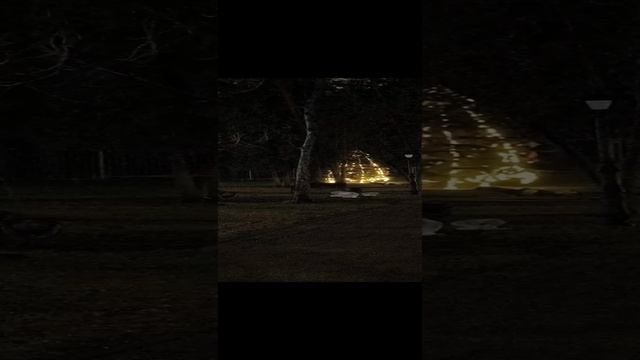 Санаторий Криница Республики Беларусь. Новогодний декор.