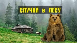 0054 МЕДВЕДЬ спас ОХОТНИКА СЛУЧАЙ в ЛЕСУ ВСТРЕЧА с МЕДВЕДЕМ ВЫЖИВАНИЕ СУДЬБА ИСТОРИИ из ЖИЗНИ СЕРИАЛ