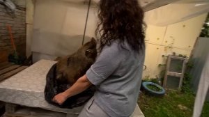 5 серия ПОЧЕМУ ПРОПАДАЮТ ЛЮДИ В ДЕРЕВНЕ НАС ПОДСТАВИЛИ