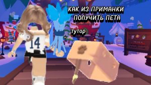 КАКОЙ ИЗ ПРИМАНКИ ПОЛУЧИТЬ ПЕТА?! (тутор)