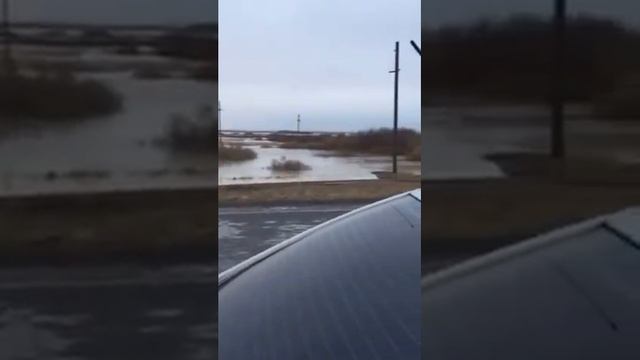 Романовка