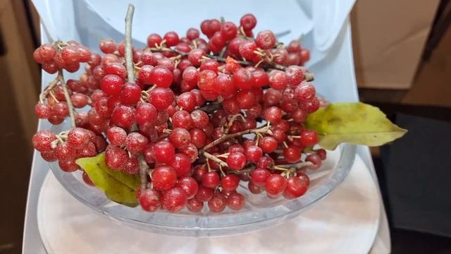 Что такое шефердия и как ее едят смотреть онлайн