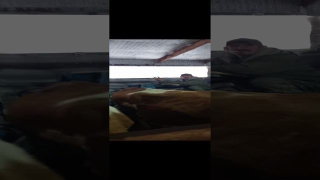 1000005553.mp4