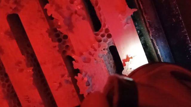 Зимовка пчёл в зимовнике 2022-2023г.г.(12.02.2023) смотреть онлайн