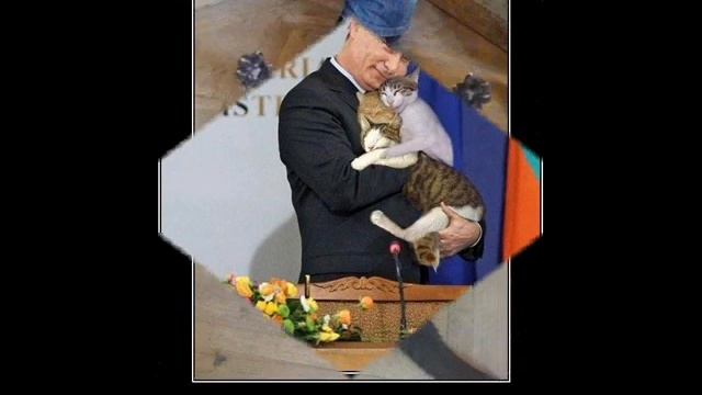 Самые смешные демотиваторы с Котэ №2 смотреть онлайн