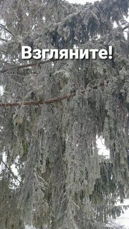 Взгляните!!!