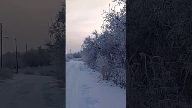 зимняясказка