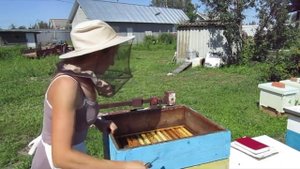 Аномально провальный сезон 2018 года.