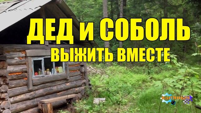 ЗИМОЙ В ТАЙГЕ ВЫЖИТЬ ВМЕСТЕ _ ДЕД И СОБОЛЬ _ ТОПОР И НОГА _ ДОБРАТЬСЯ ДО ЗИМОВЬЯ ЛЮБОЙ ЦЕНОЙ смотреть онлайн