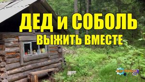 ЗИМОЙ В ТАЙГЕ ВЫЖИТЬ ВМЕСТЕ _ ДЕД И СОБОЛЬ _ ТОПОР И НОГА _ ДОБРАТЬСЯ ДО ЗИМОВЬЯ ЛЮБОЙ ЦЕНОЙ