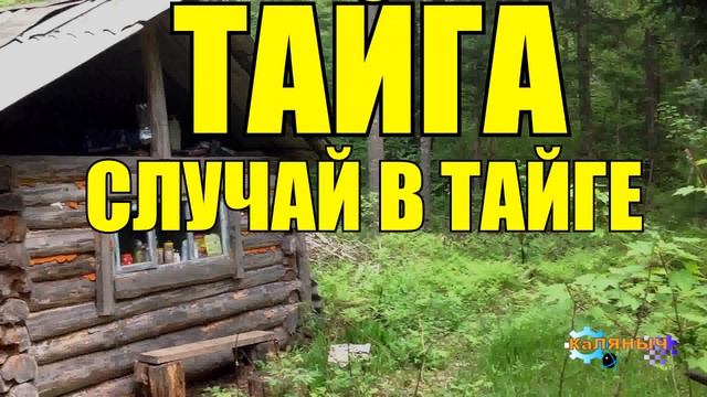 1054 - НЕБЫВАЛОЕ СОБЫТИЕ _ ТАЙГА смотреть онлайн