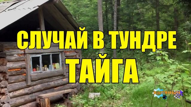0981 - СЛУЧАЙ _ 20 ДНЕЙ В ТАЙГЕ _ ЖИЗНЬ ГЕОЛОГОВ смотреть онлайн