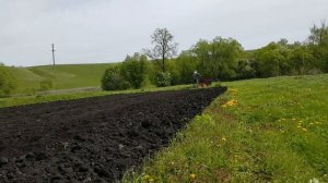 Культивация 2022