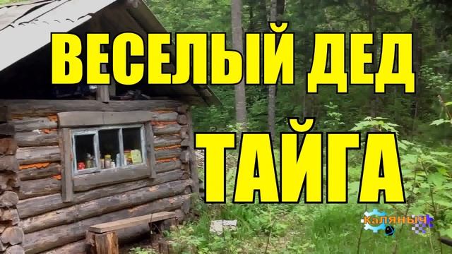 0228 - ВЕСЕЛЫЙ ОХОТНИК В ТАЙГЕ смотреть онлайн