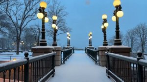 🇨🇦 Алиса в зимней стране чудес⛄❄ Снегопад в старом Квебеке ночью и ранним утром🌟2024