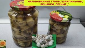 МАРИНОВАННЫЕ ГРИБЫ ШАМПИНЬОНЫ , ВЕШАНКИ, ЛЕСНЫЕ