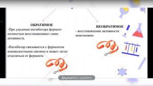 Ферменты. Эффекторы. Регуляция активности ферментов