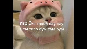 💍🙈💗mp.3-я такой пау пау пау а ты типо бум бум бум 💗🙈💍