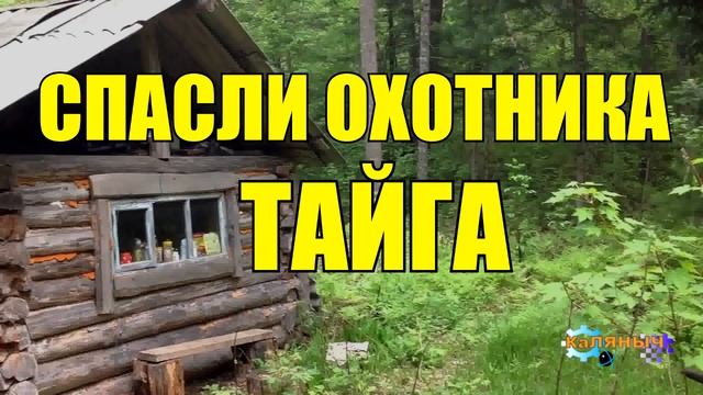 0987 - ВОЛКИ СПАСЛИ ЧЕЛОВЕКА _ ЖИЗНЬ В ТАЙГЕ смотреть онлайн