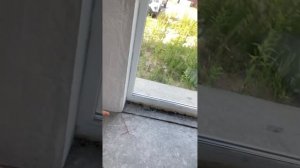 Приёмка двухэтажного индивидуального жилого дома