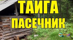 1049 - ПАСЕКА _ ОСОБЫЙ МЕД _ ТАЙГА