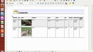 18  вставка фото в отчет LO Base