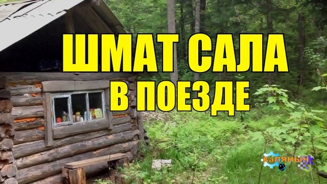 0234 - ШМАТ САЛО и САМОГОНЩИКИ В ПОЕЗДЕ смотреть онлайн