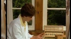 Пчеловодство  Вывод маток от А до Я