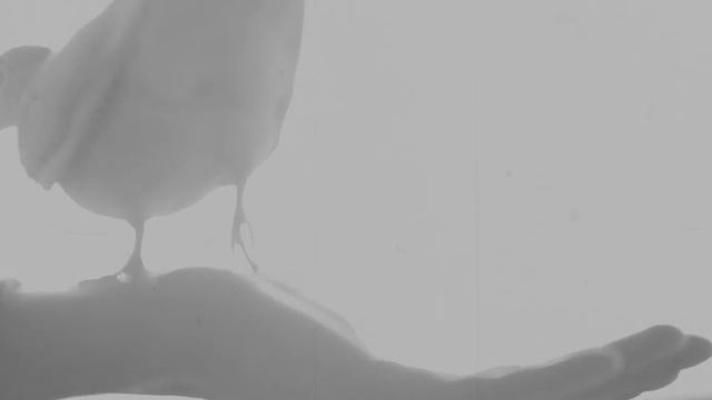 Crosslin Smith, The Old Ways смотреть онлайн