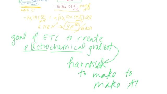 ETC day 2 (Dr Terrell) смотреть онлайн