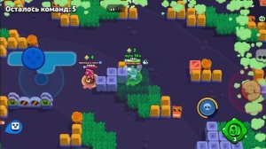 играю в нулс бравл