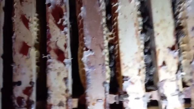 Тестирование инструментальных маток по зимовке (11.03.2024) смотреть онлайн