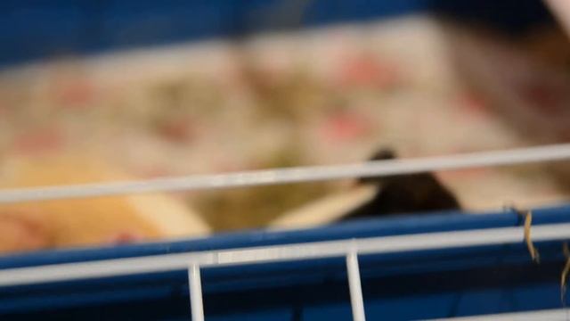 Житьё-бытьё смотреть онлайн