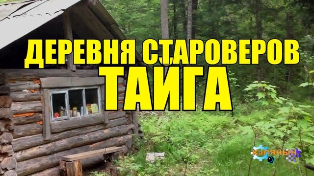 ДЕРЕВНЯ _ СТАРОВЕРЫ В ТАЙГЕ _ ОТШЕЛЬНИКИ СТАРОВЕРЫ _ в каждой деревне есть ведьма