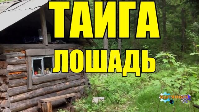 1061 - ЛЕНЬКА И ГЕТМАН смотреть онлайн