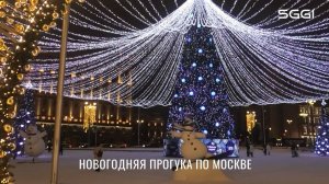 СНГ-Новогодняя прогулка по Москве