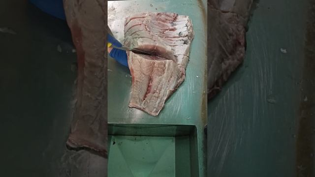 Холодное копчение толстолобика в домашних условиях