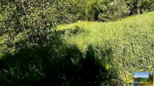 Новогодняя танцевальная дискотека 2025.