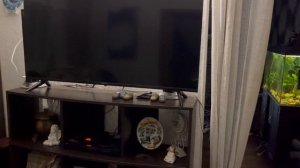 Говорят, что в своей жизни нужно что-то менять. Поэтому я сегодня