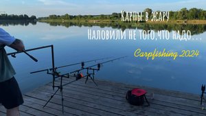 ОЧЕРЕДНОЙ КАРП!!СЕКРЕТЫ УЛОВА-КАРПФИШИНГ В ИЮНЕ. ПОЙМАЛИ НЕ ТО ЧТО ДОЛЖНЫ !!?