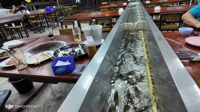 Новый безлимитный BBQ буфет с пивом за 599б