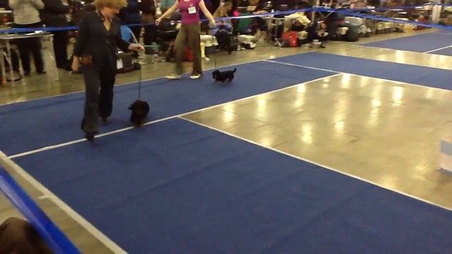 Сравнение на ЛЩ, ТР Фартовый, Легенда Севера Династия Королей смотреть онлайн