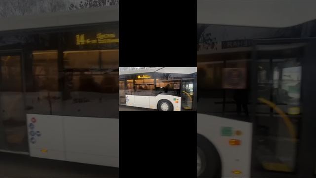 Новый 14 автобус МАЗ 303