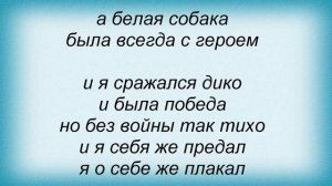 Слова песни Дельфин - Собака