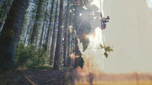 Pacification - Beautiful views of nature | Ambient Music