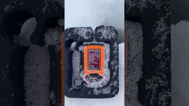 Как видно рыбу в эхолот Практик 6М? Не активный Судак ходит по дну с белью #судакнавибы #судакзимой смотреть онлайн